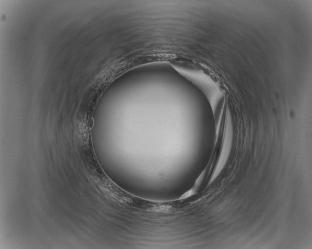 X0000083610609200702201252