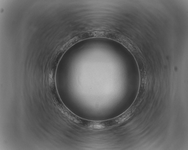 X0000083610610200702201252