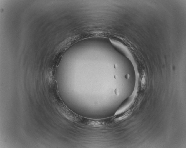 X0000083610611200702201252