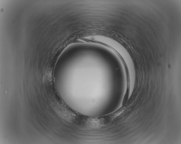 X0000083610613200702201251