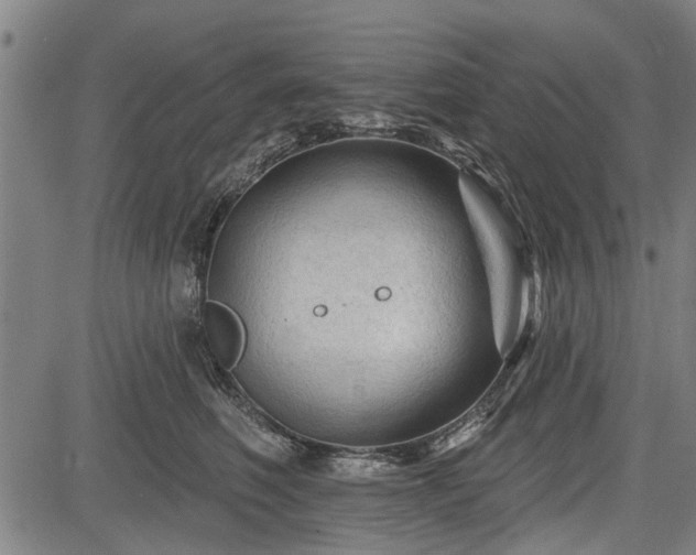 X0000083610614200702201251