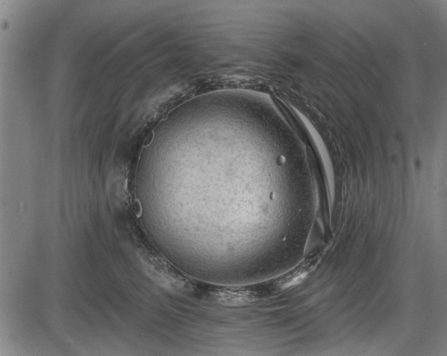 X0000083610615200702201251