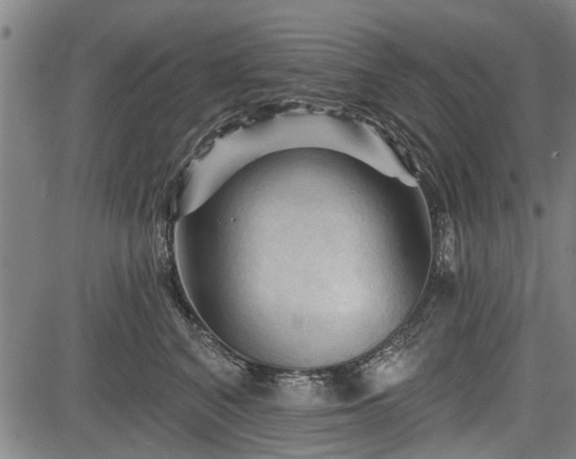 X0000083610616200702201251