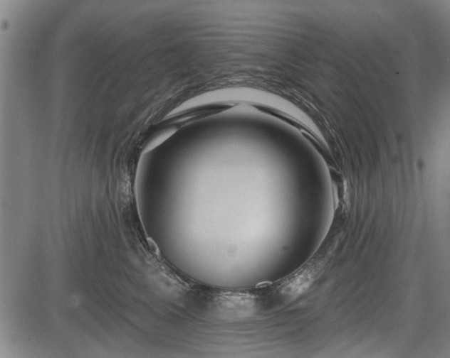 X0000083610617200702201251