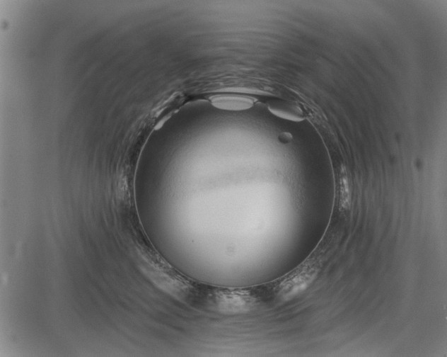 X0000083610618200702201251