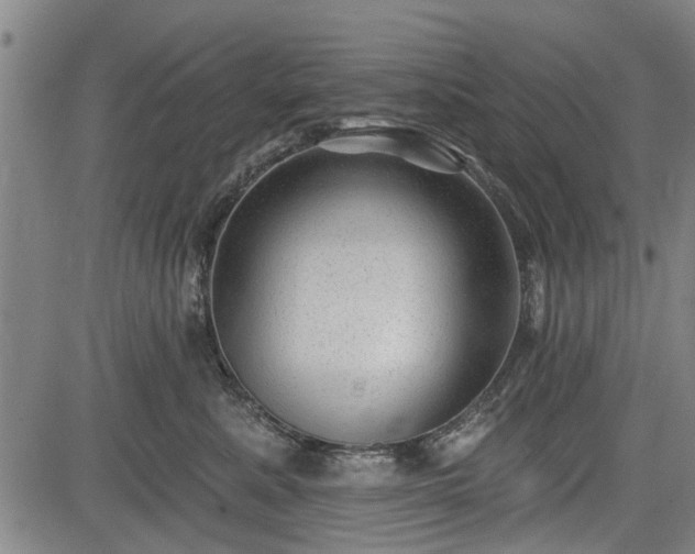 X0000083610619200702201251