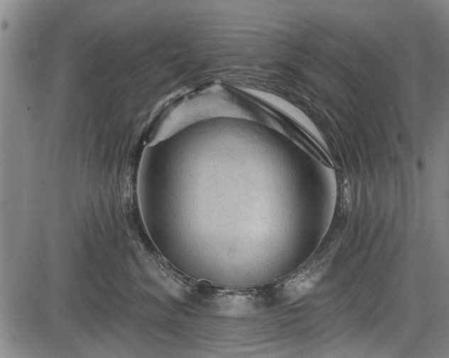 X0000083610620200702201251