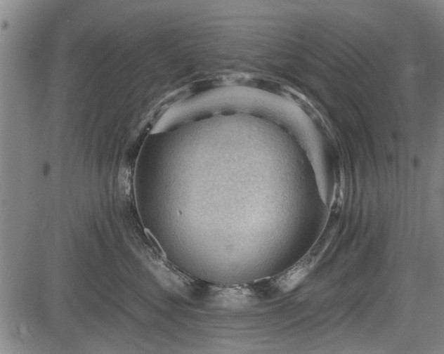 X0000083610621200702201251