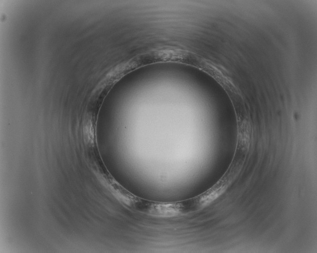 X0000083610622200702201251