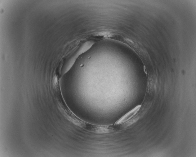 X0000083610623200702201251