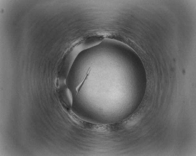 X0000083610624200702201251