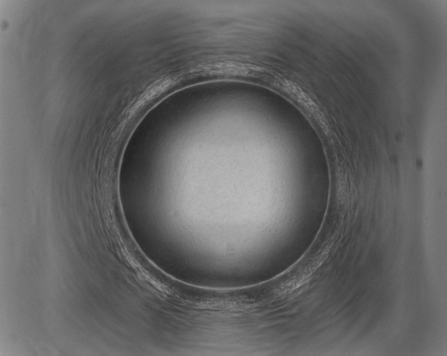 X0000083610625200702201250