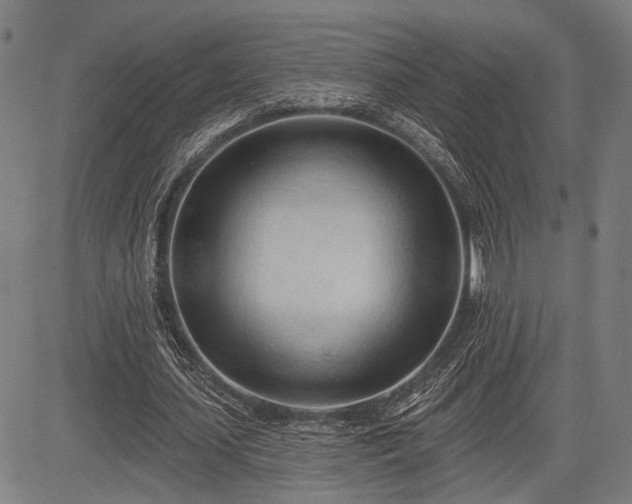 X0000083610627200702201251