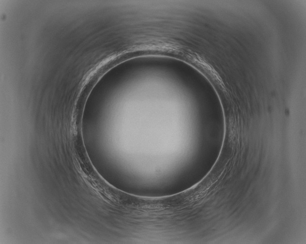 X0000083610628200702201251