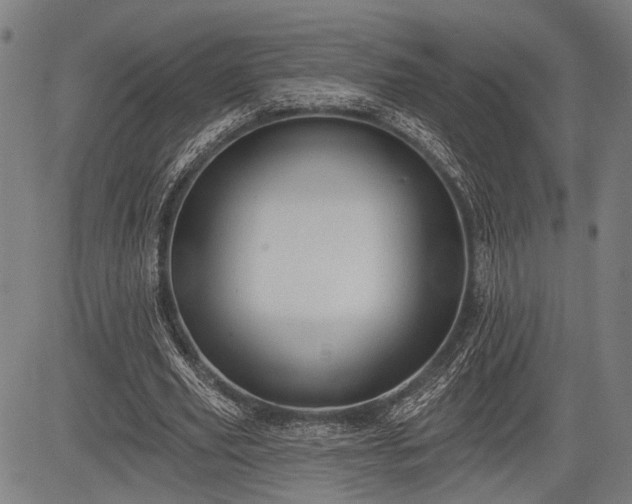 X0000083610629200702201251