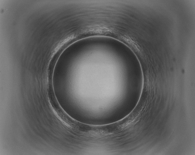 X0000083610630200702201251