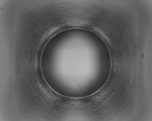 X0000083610631200702201251