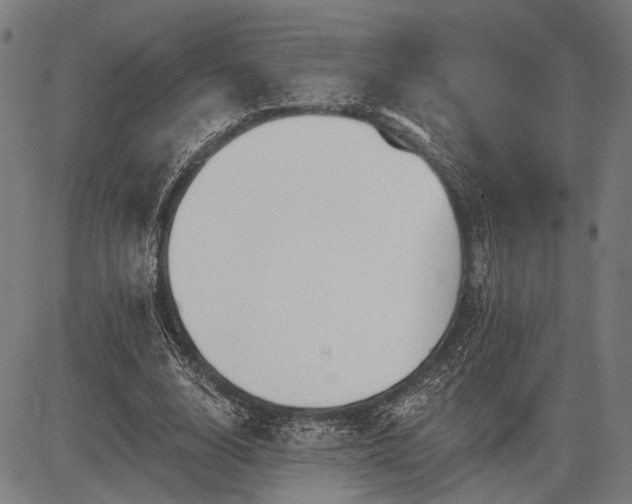 X0000083610632200702201251