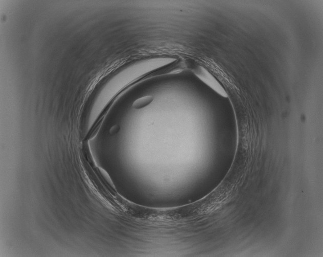 X0000083610634200702201251