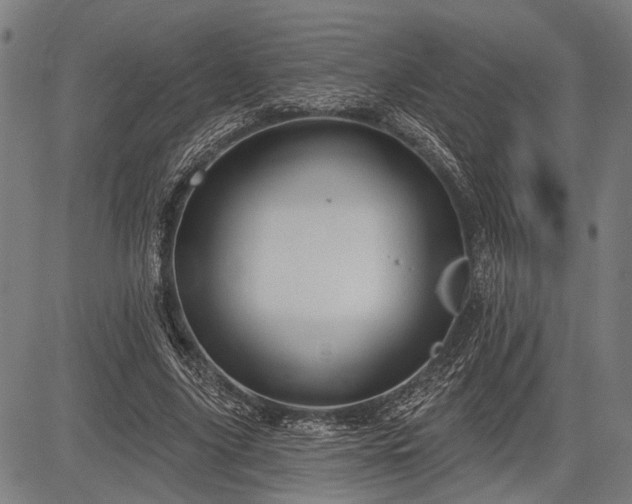 X0000083610635200702201251