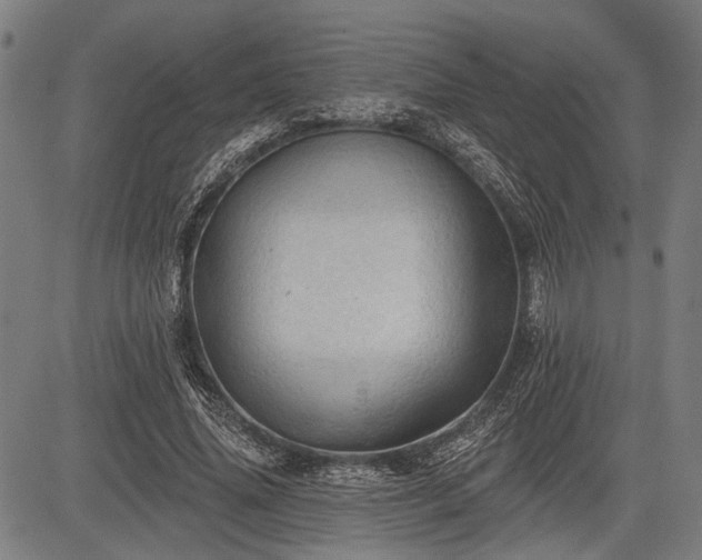 X0000083610636200702201251