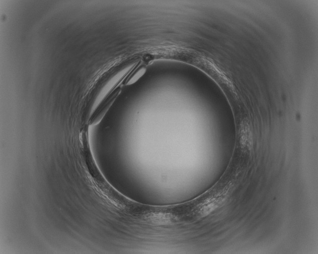 X0000083610637200702201251