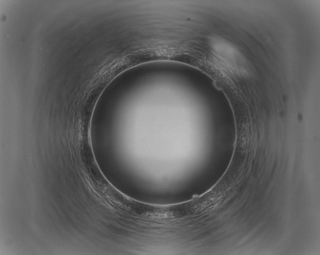 X0000083610639200702201251