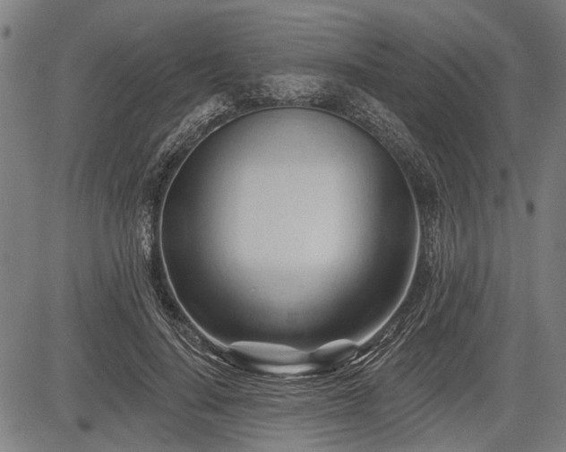 X0000083610644200702201251