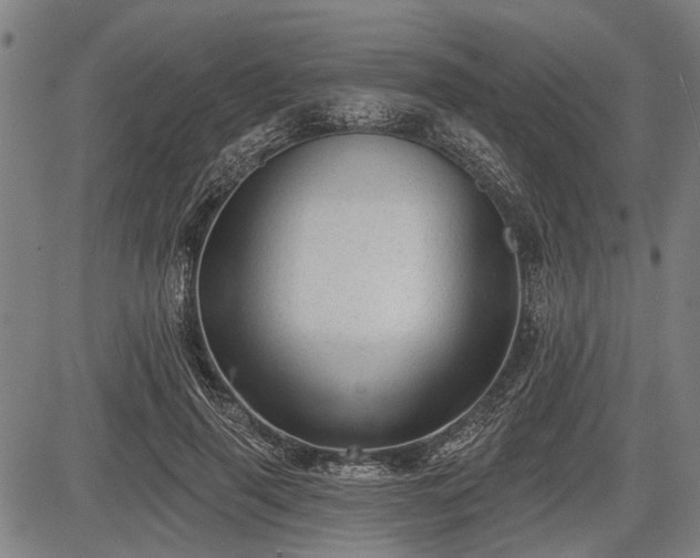 X0000083610645200702201251