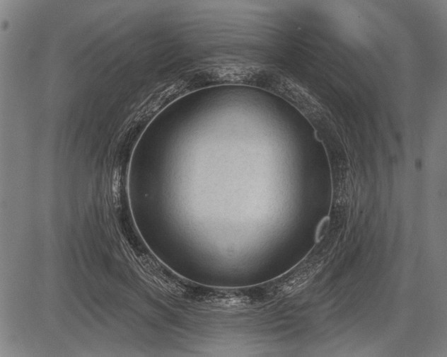 X0000083610646200702201251