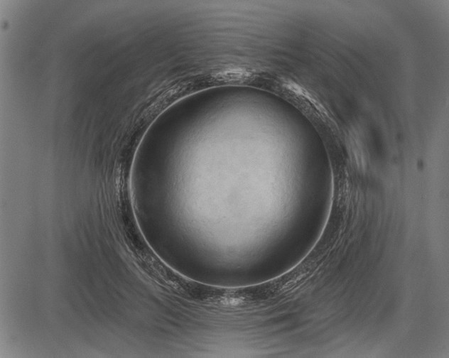 X0000083610647200702201251