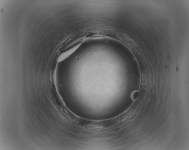 X0000083610648200702201251