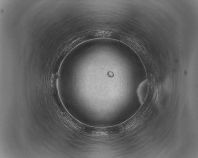 X0000083610649200702201251