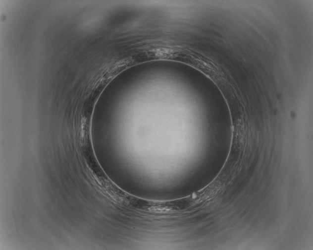 X0000083610650200702201251