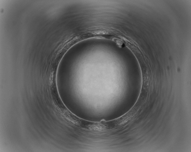 X0000083610652200702201251