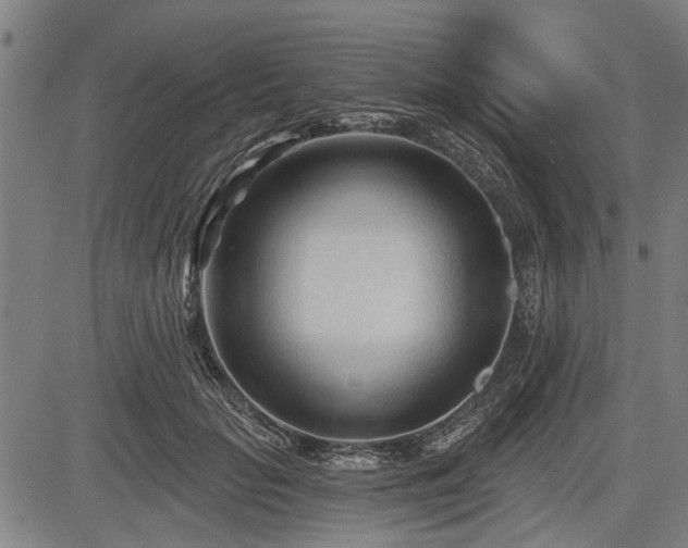 X0000083610653200702201251