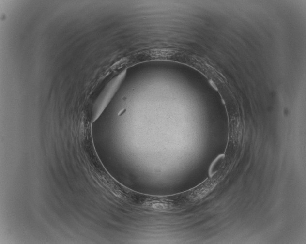 X0000083610655200702201251