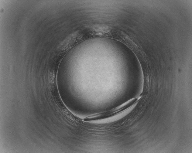 X0000083610657200702201251