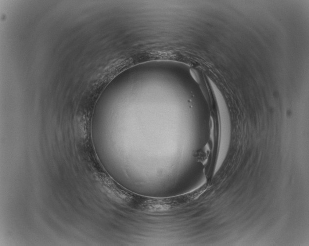 X0000083610658200702201251