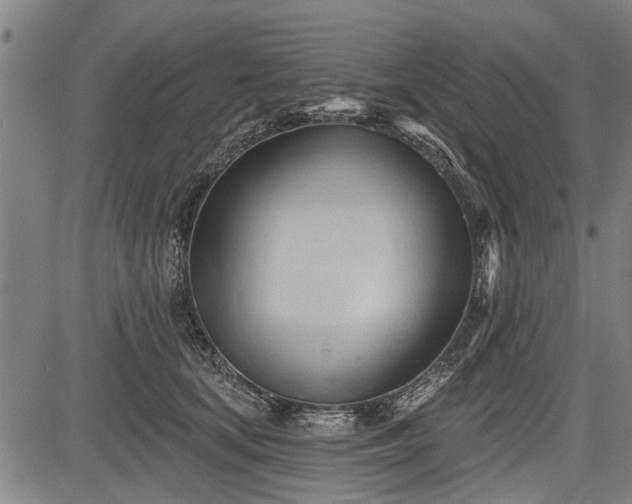 X0000083610659200702201251