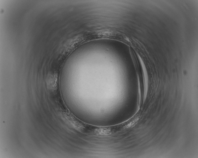 X0000083610660200702201251