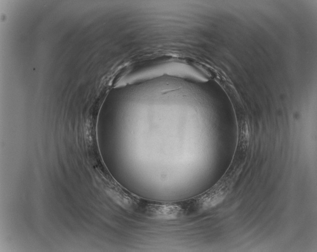 X0000083610663200702201251