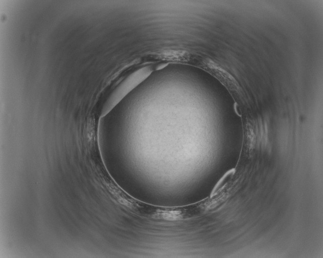 X0000083610665200702201251