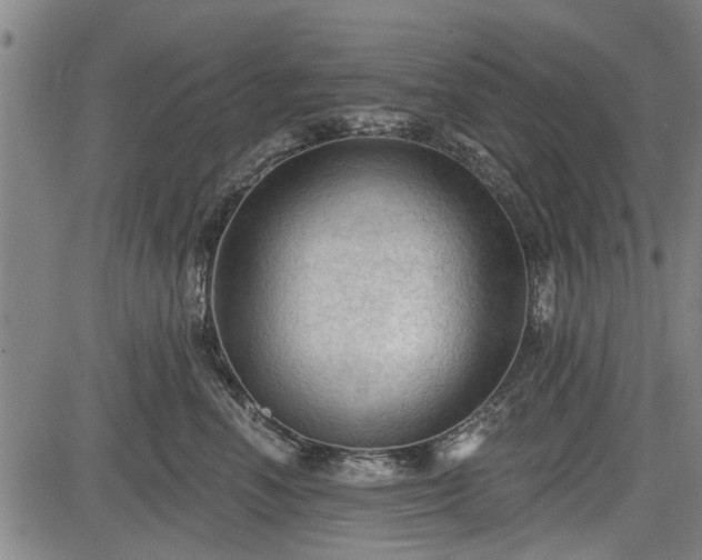 X0000083610666200702201251