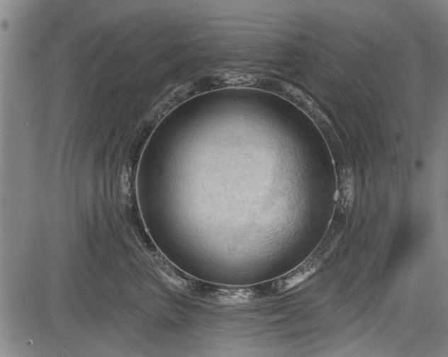 X0000083610667200702201251