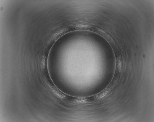 X0000083610668200702201251