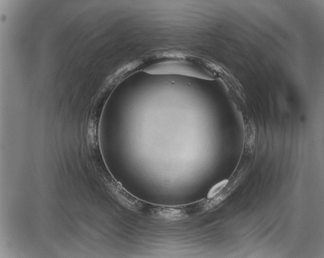 X0000083610669200702201251