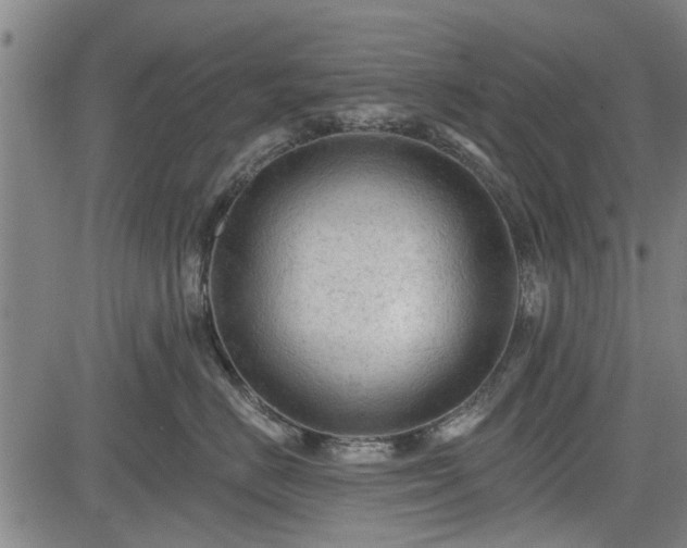 X0000083610670200702201251