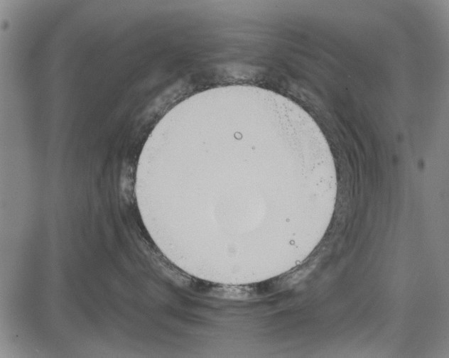 X0000083610672200702201251