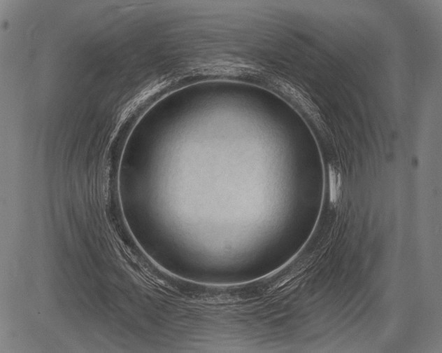 X0000083610675200702201250